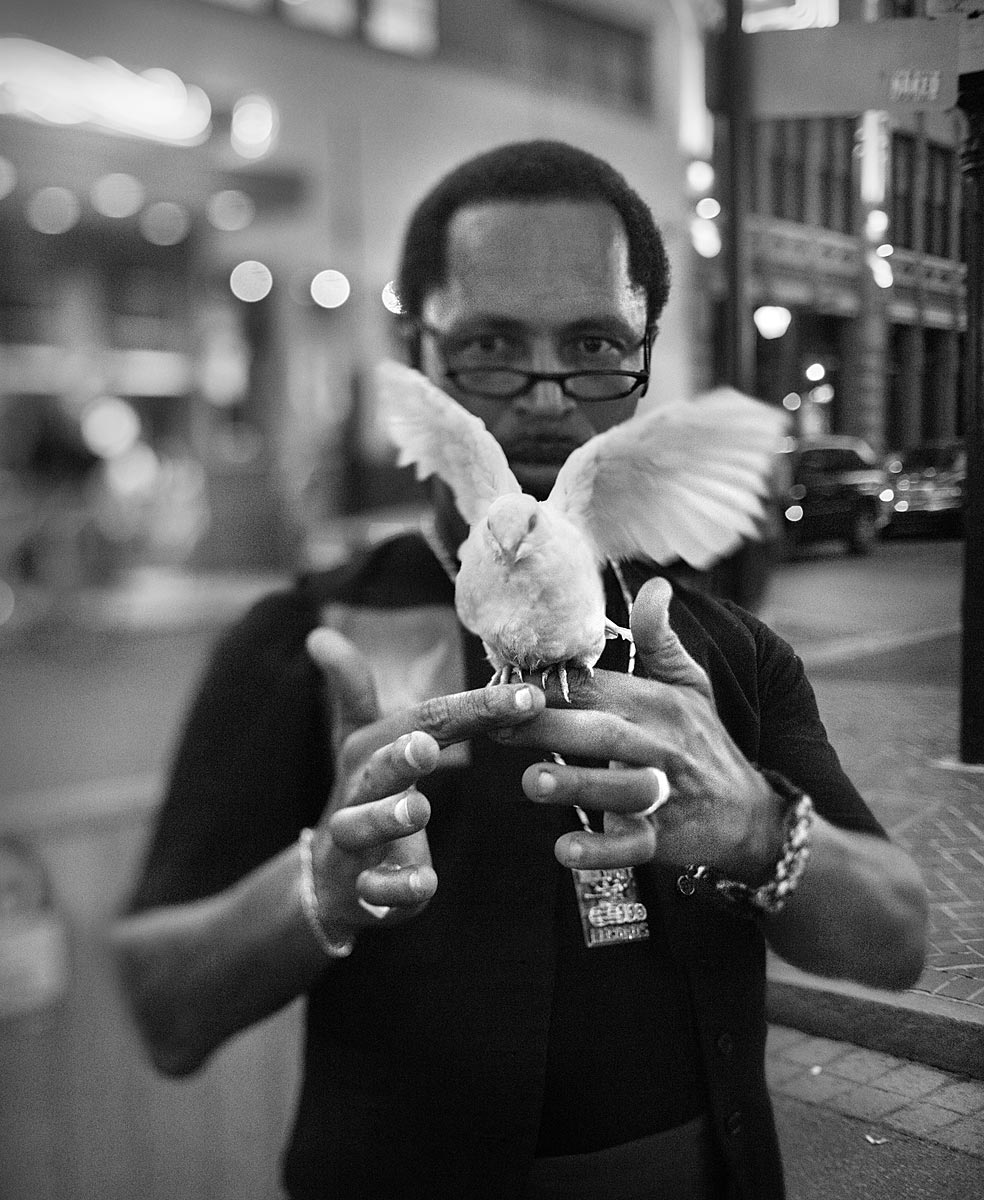 BirdMagic