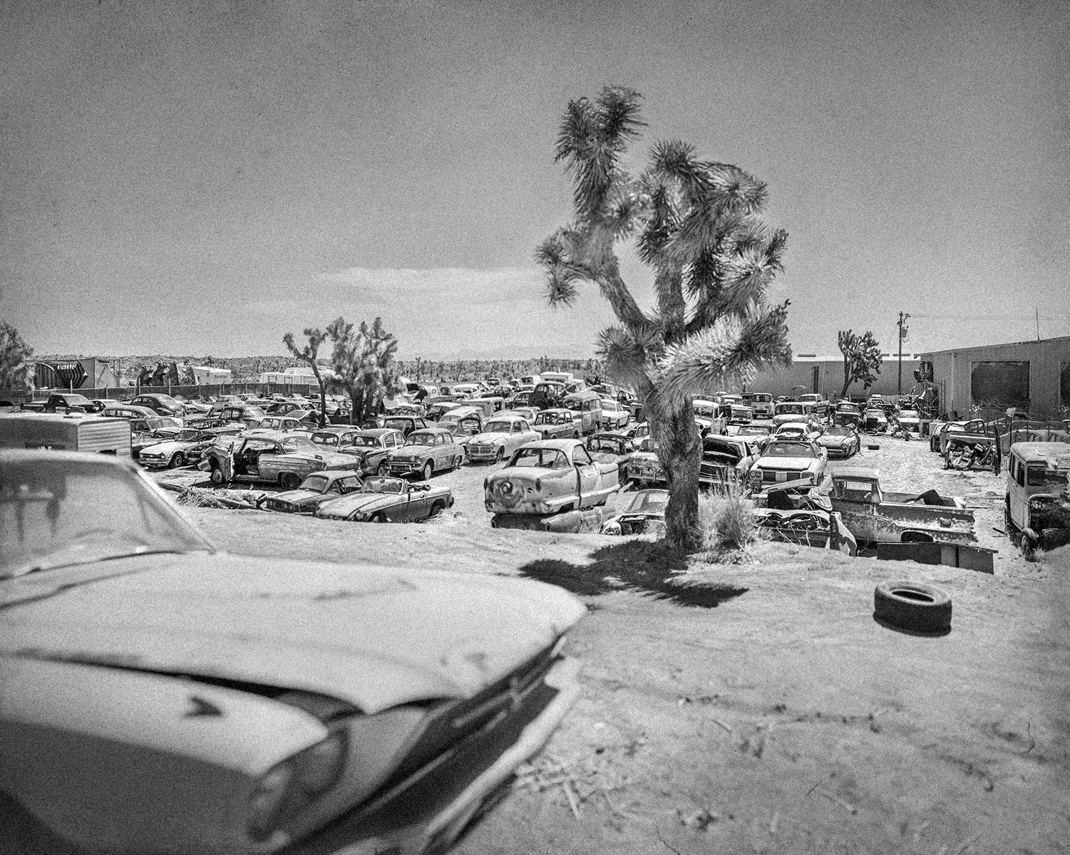CarLots