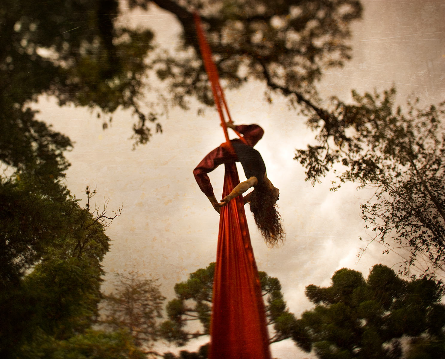 GymnastTree